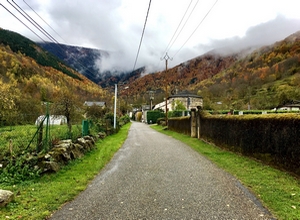 Automne - 1er Nov 2021- (M.Aubier)