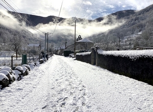 Hiver - 28 D&eacute;c 2020 - (M.Aubier)
